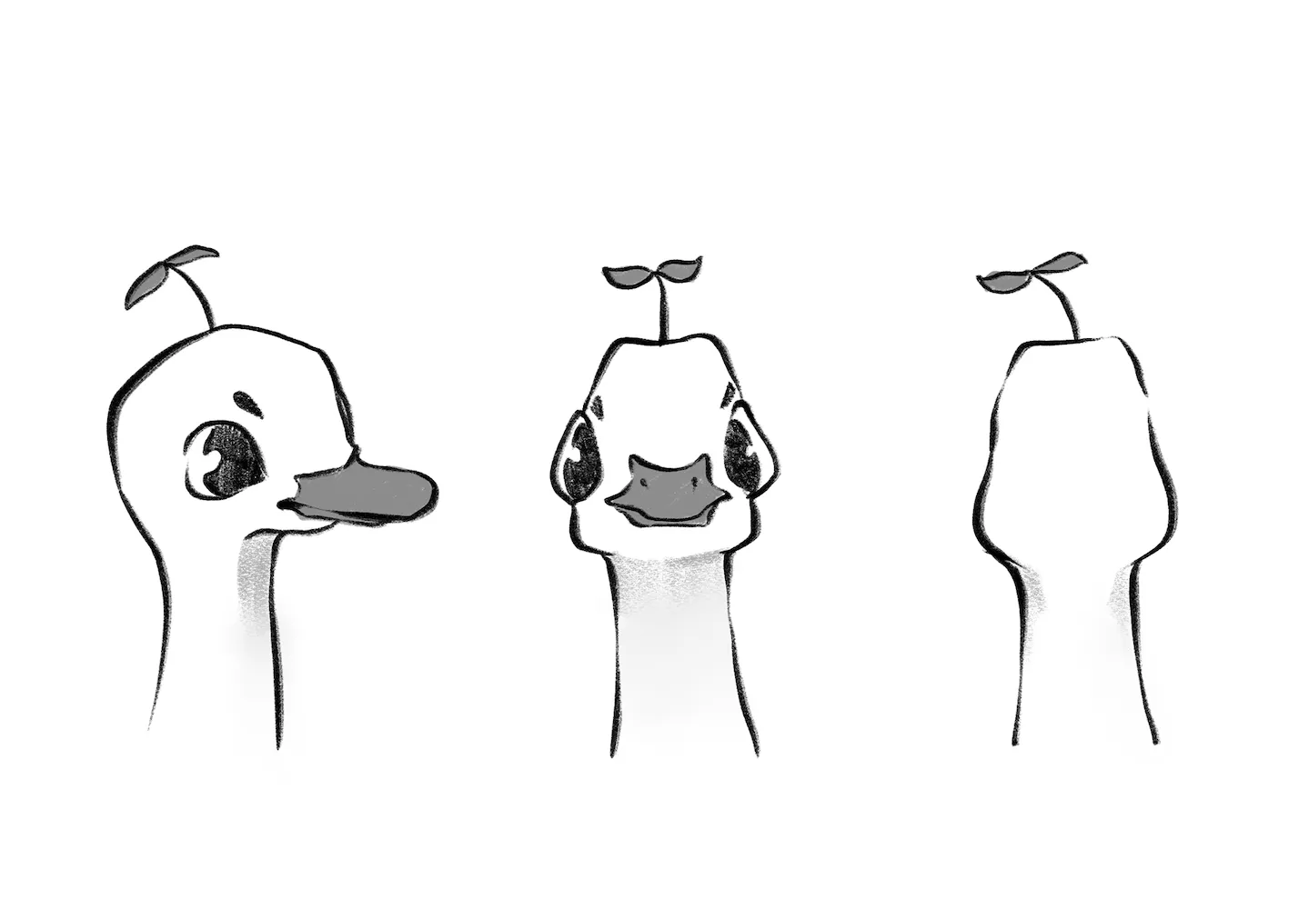 Bust turnaround of the duck, with a sprout growing from its head, in side, front and back views