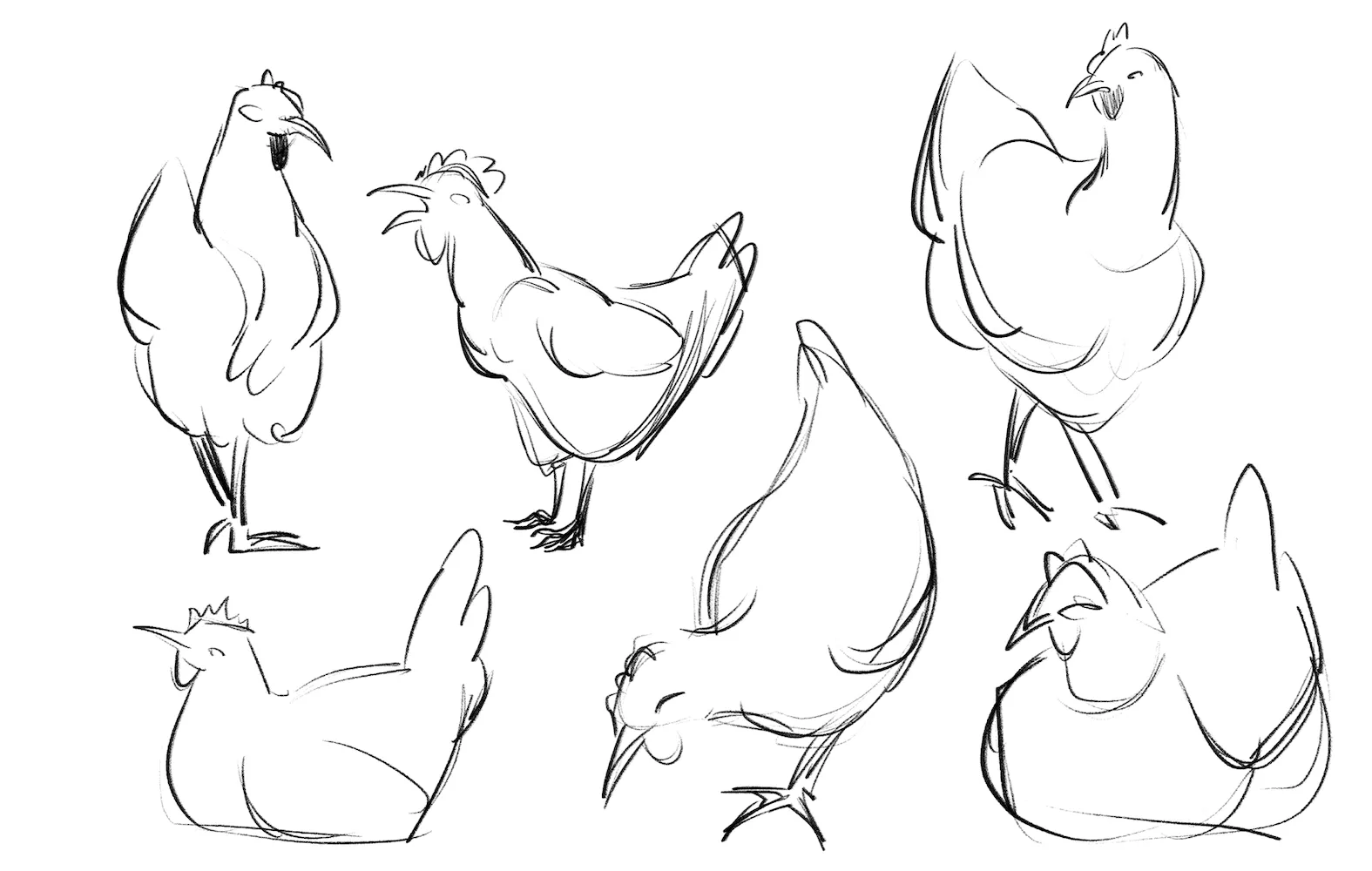 Gesture sketches of chickens standing, crowing and sitting