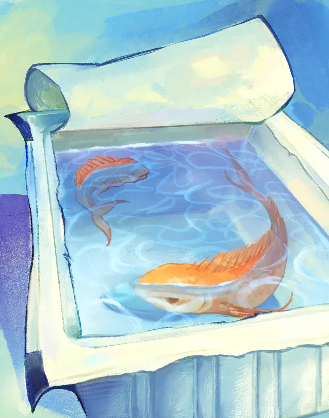 FISH TOFU
